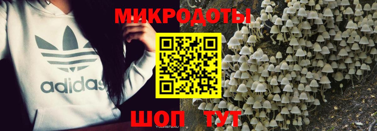 Галлюциногенные грибы мицелий Бугульма