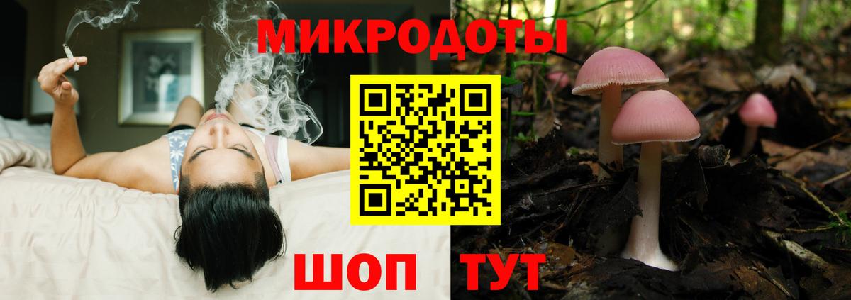 Бугульма  Псилоцибиновые грибы мицелий  Вход с VPN 
